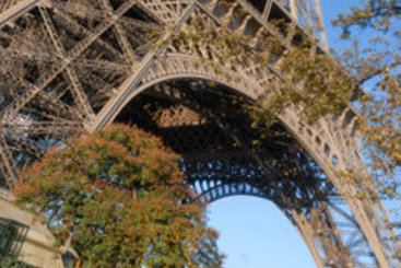 Hôtel Holiday Inn Paris Gare de Lyon Bastille  | Paris | Paris | France 17