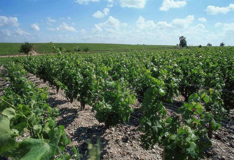 Hôtel Mercure Bordeaux Centre  | Bordeaux | Gironde | France 4