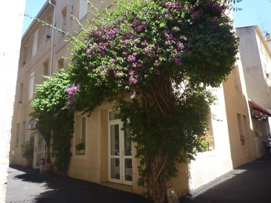 Hotel Appia  | Cannes | Alpes Marítimos | Francia 5