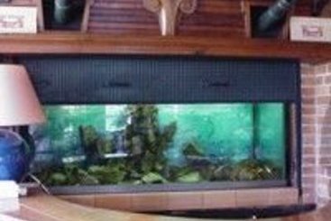 Hotel Hostellerie Saint Pierre  | St Pierre du Vauvray | Eure | France 3