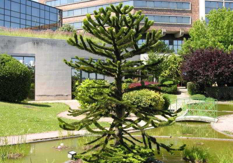 Hôtel Saphir  | Pontault Combault | Seine-et-Marne | France 15