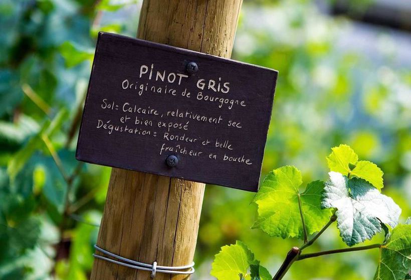 Hôtel Sofitel Strasbourg Grande Ile  | Strasbourg | Bas-Rhin | France 12