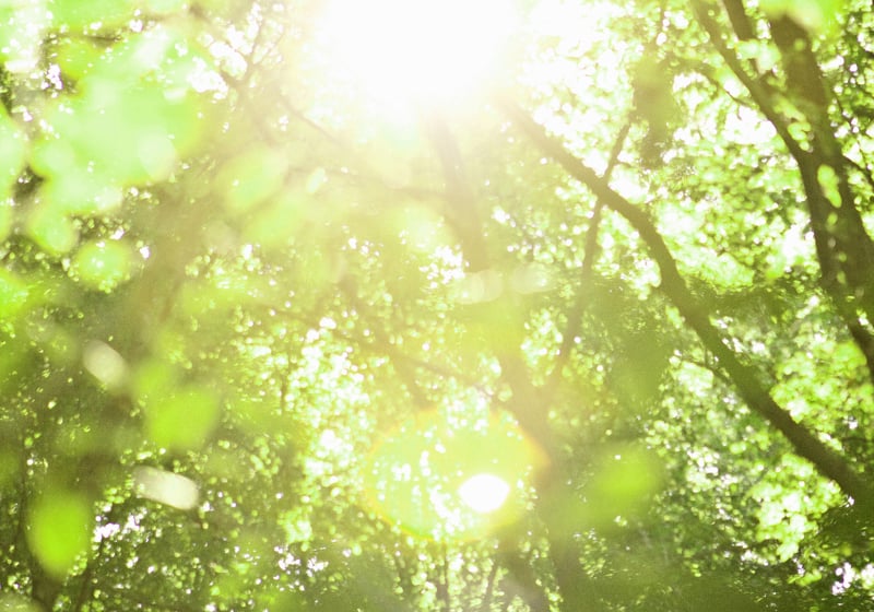 Hôtel Villaborghese  | Greoux les Bains | Alpes-de-Haute-Provence | France 13