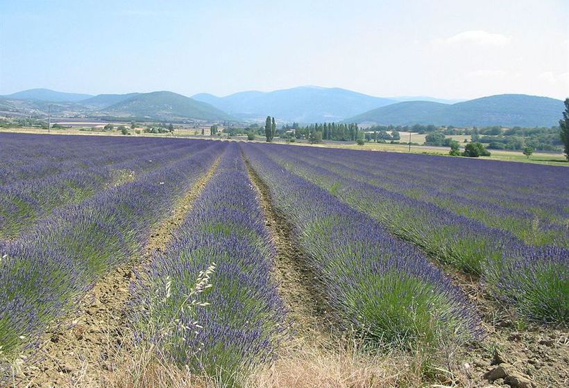 Hôtel Villaborghese  | Greoux les Bains | Alpes-de-Haute-Provence | France 3