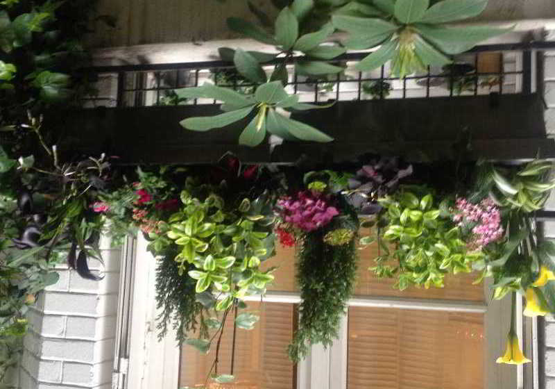 Hôtel Virgina  | Paris | Paris | France 13