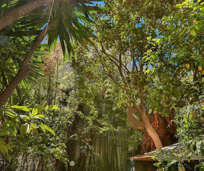 Hôtel Windsor  | Nice | Alpes-Maritimes | France 8