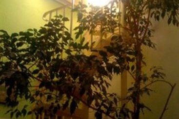 Hôtel Alan Robert's  | Cannes | Alpes-Maritimes | France 14