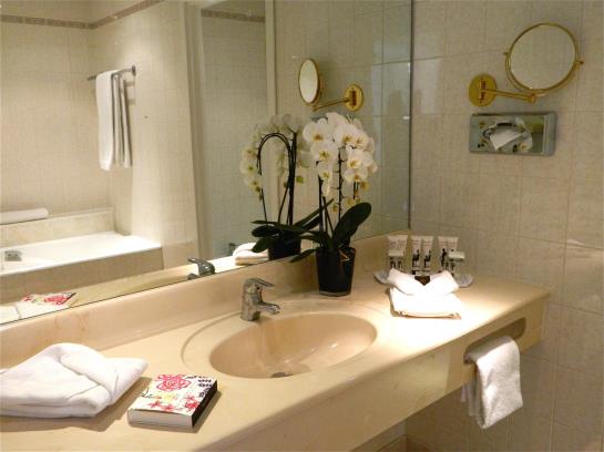 Hôtel B4 Nice Park  | Nice | Alpes-Maritimes | France 17