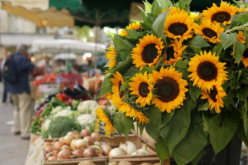 Hôtel Villa Gallici  | Aix-en-Provence | Bouches du Rhone | France 11