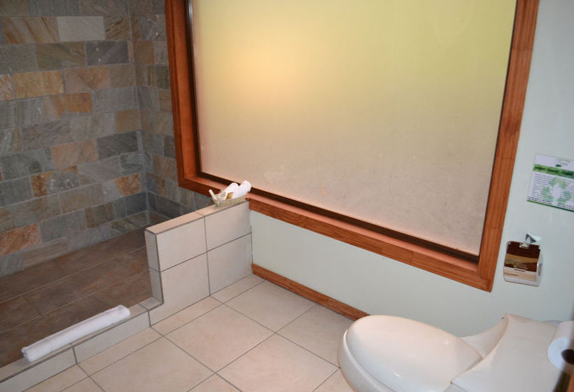 Hotel Ficus Sunset Suites  | Monteverde | Puntarenas | Costa Rica 14