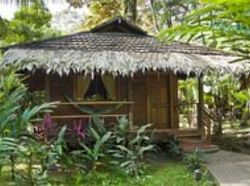 Hotel Cariblue Caribbean Resort Playa Cocles