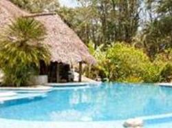 Hotel Cariblue Caribbean Resort  | Playa Cocles | Limón | Costa Rica 4