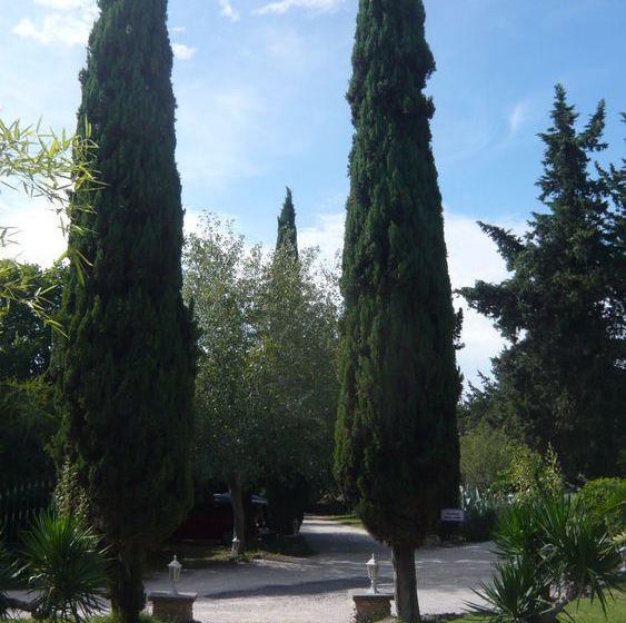 Hôtel La Sommellerie  | Chateauneuf du Pape | Vaucluse | France 15
