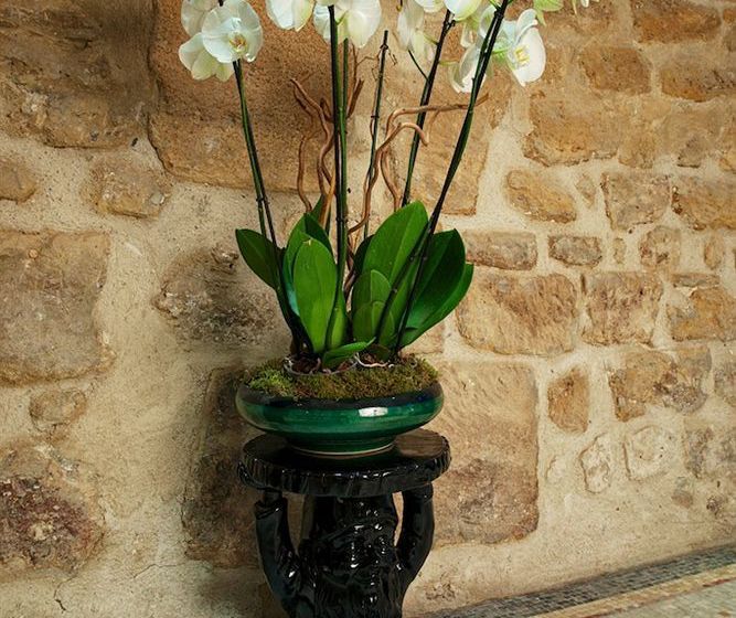 Hôtel le Clos de Notre Dame  | Paris | Paris | France 15