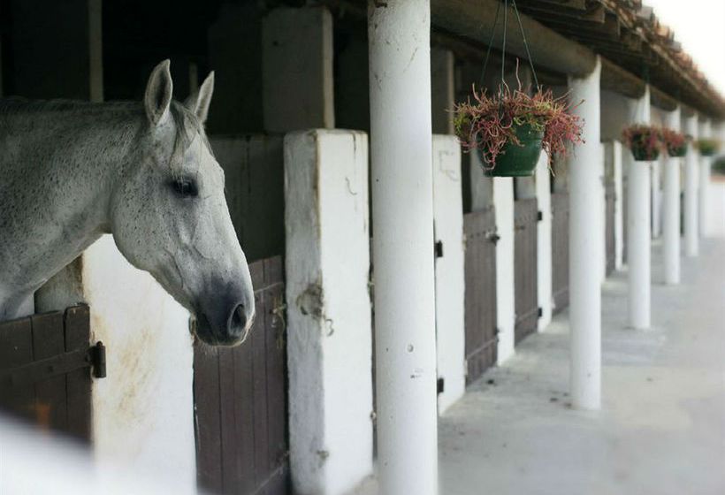 Hôtel Auberge Cavaliere  | Saintes Maries de la Mer | Bouches du Rhone | France 19