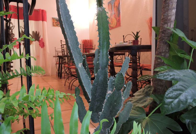 Hôtel De la Loge  | Perpignan | Pyrenees-Orientales | France 20