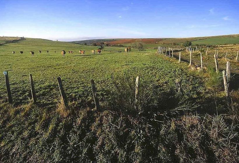 Hôtel Mercure Rodez Cathédrale  | Rodez | Aveyron | France 4