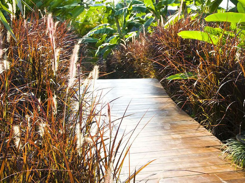 Hotel Casa Chameleon  | Nicoya | Guanacaste | Costa Rica 1