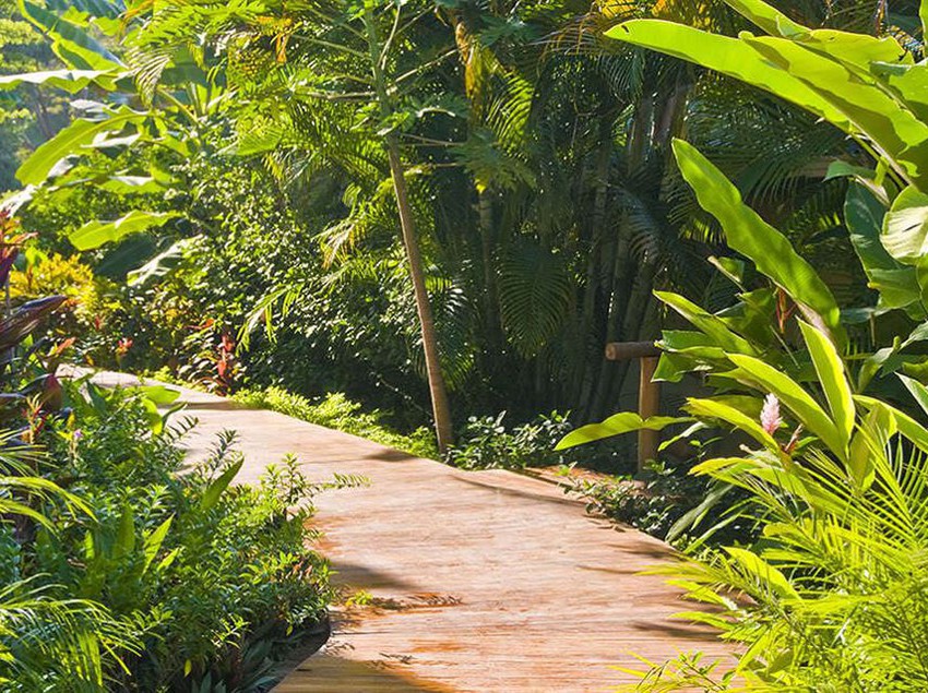 Hotel Casa Chameleon  | Nicoya | Guanacaste | Costa Rica 2