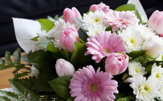 Hôtel Lille Europe  | Lille | Nord | France 17