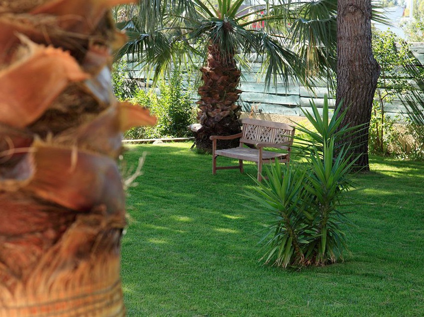 Hôtel Mas des Arcades  | Perpignan | Pyrenees-Orientales | France 8