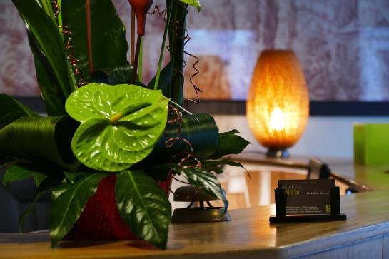 Inter Hotel l'Epi d'Or  | Angoulême | Charente | France 4