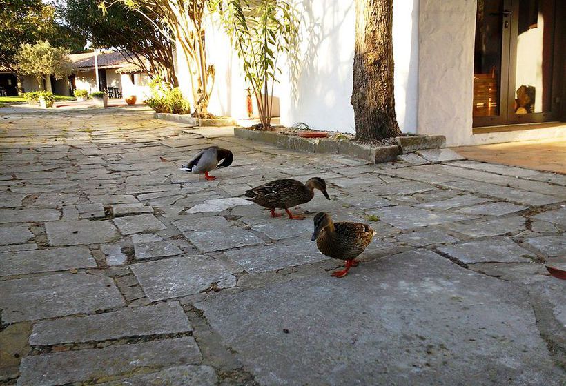Hôtel Les Rizieres  | Saintes Maries de la Mer | Bouches du Rhone | France 10