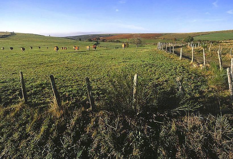 Hôtel Ibis Rodez Centre  | Rodez | Aveyron | France 10