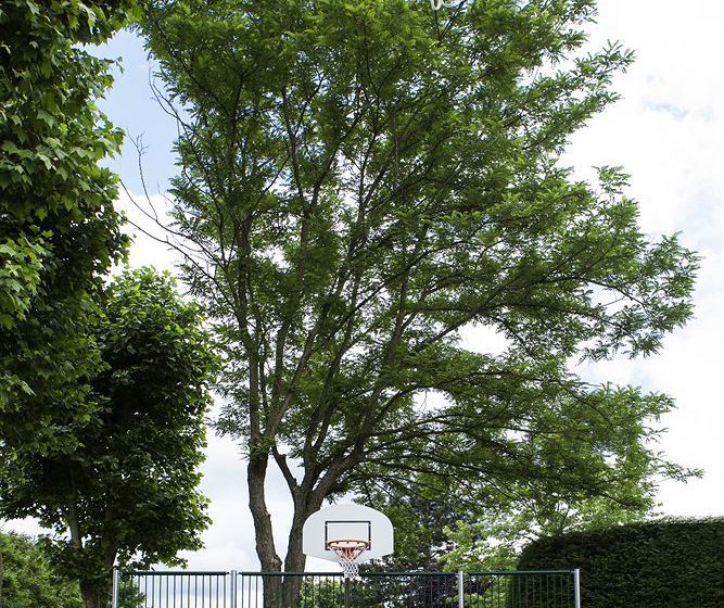 Novotel Marne La Vallée Collégien 