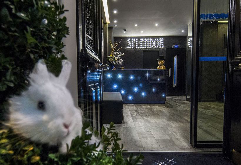 Hôtel Splendor Elysées   | Paris | Paris | France 11