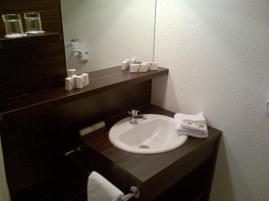 Park & Suites Elégance Gaillard  | Gaillard | Haute-Savoie | France 15