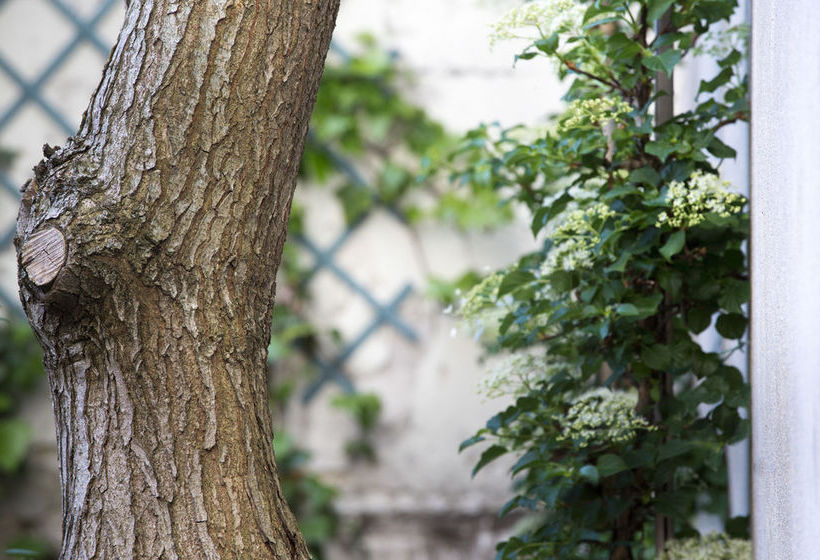 9Hotel Montparnasse  | Paris | Paris | France 17