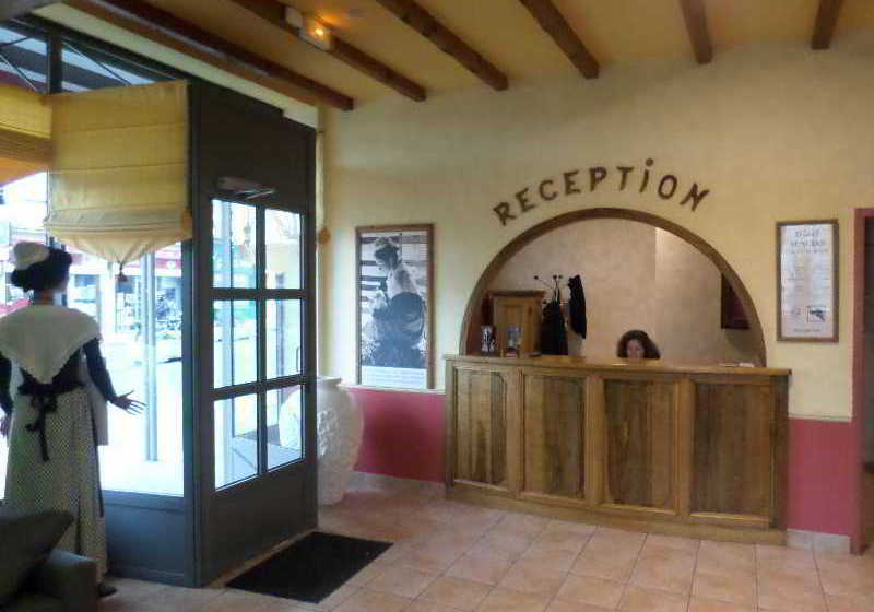 Hôtel Comfort Acacias  | Arles | Bouches du Rhone | France 4