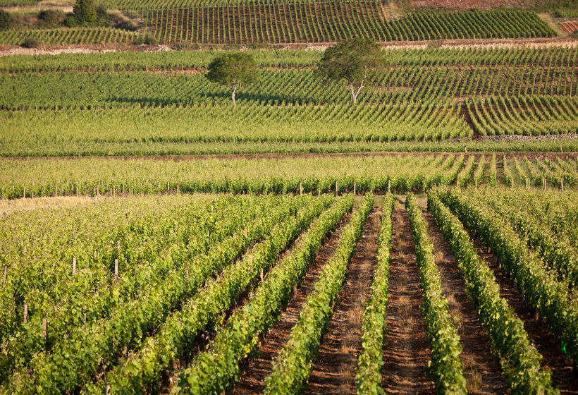 Hôtel Panorama  | Beaune | Cote d'Or | France 8