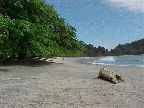 Hotel Villa Romantica  | Quepos | Puntarenas | Costa Rica 3