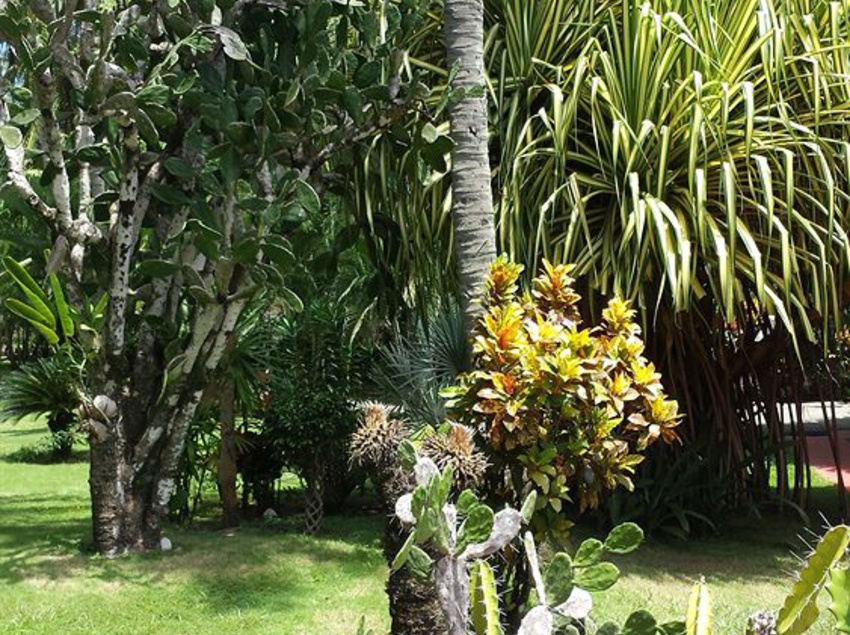 Hotel Beso Del Viento