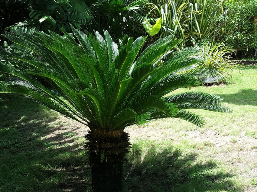 Hotel Beso Del Viento  | Parrita | Puntarenas | Costa Rica 1