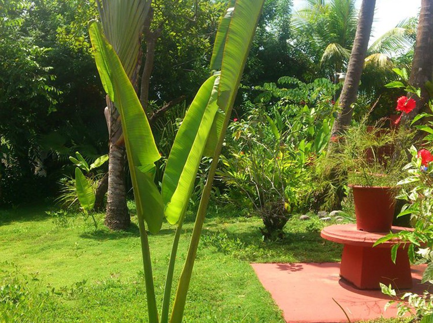 Hotel Beso Del Viento  | Parrita | Puntarenas | Costa Rica 10