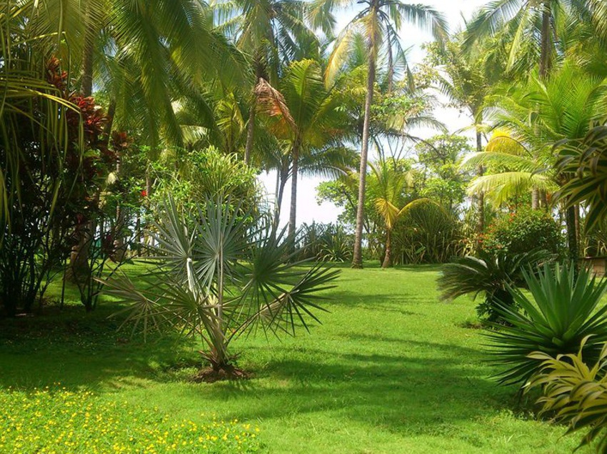 Hotel Beso Del Viento  | Parrita | Puntarenas | Costa Rica 2