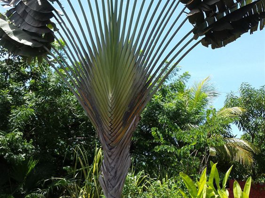 Hotel Beso Del Viento  | Parrita | Puntarenas | Costa Rica 5