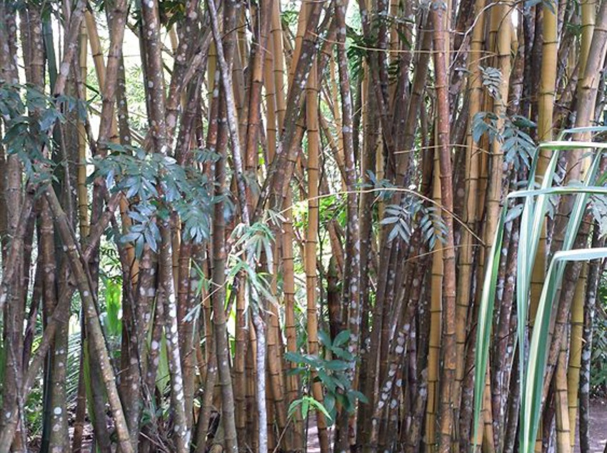 Hotel Beso Del Viento  | Parrita | Puntarenas | Costa Rica 6