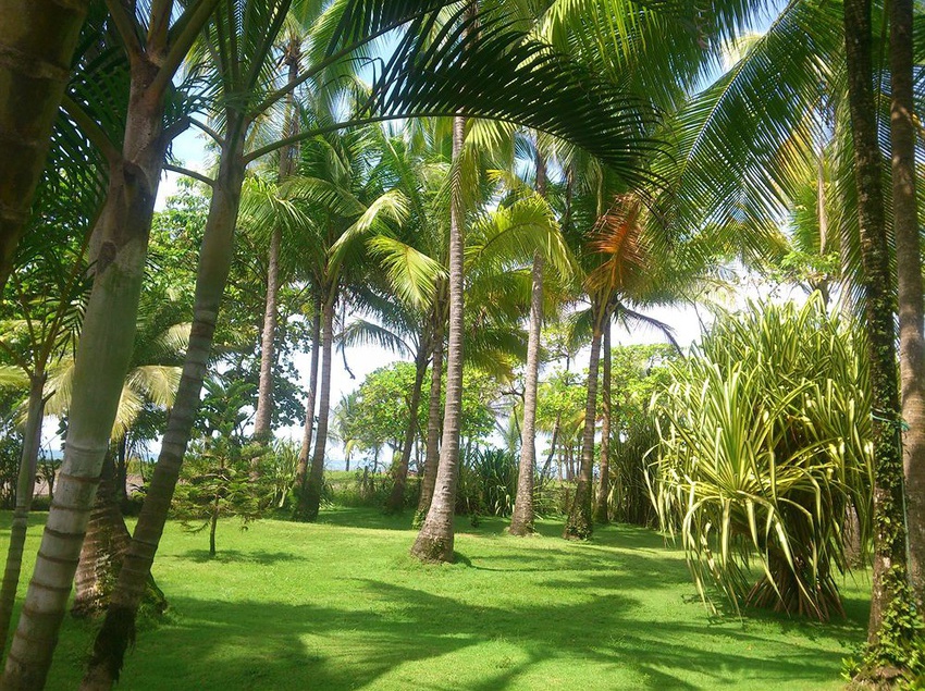 Hotel Beso Del Viento  | Parrita | Puntarenas | Costa Rica 9