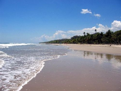 La Palapa Eco Lodge Resort  | Portalon | Puntarenas | Costa Rica 15