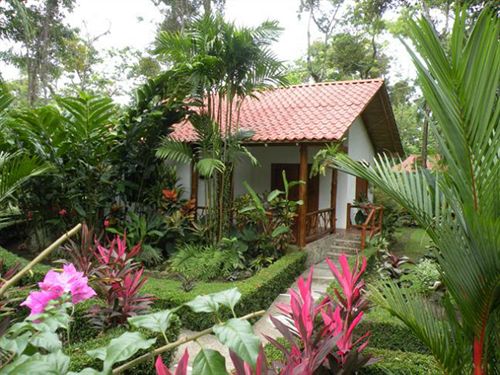 La Palapa Eco Lodge Resort  | Portalon | Puntarenas | Costa Rica 18