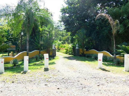 La Palapa Eco Lodge Resort  | Portalon | Puntarenas | Costa Rica 19
