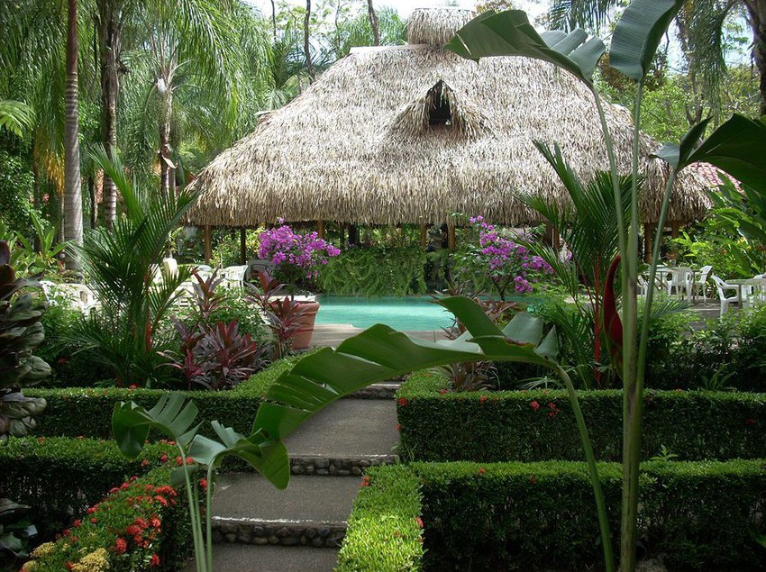 La Palapa Eco Lodge Resort  | Portalon | Puntarenas | Costa Rica 4