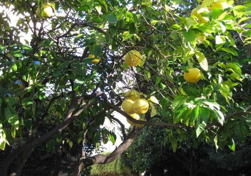 Hotel Villa La Malouine  | Nice | Alpes-Maritimes | France 20