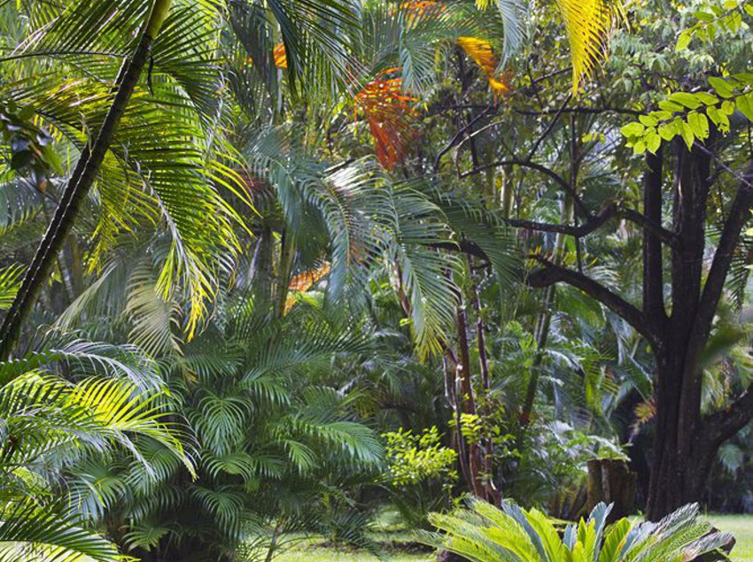 Hotel Hacienda La Pacifica  | Cañas | Guanacaste | Costa Rica 12