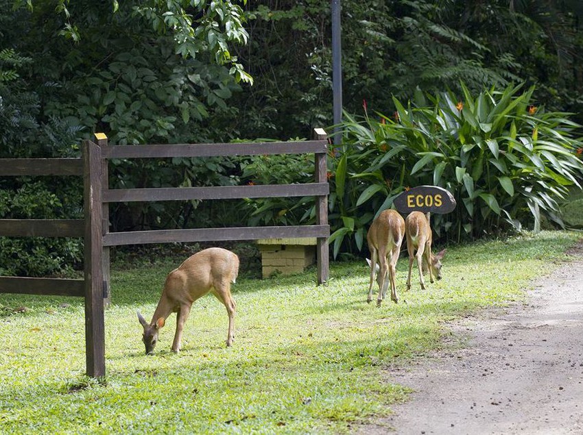 Hotel Hacienda La Pacifica  | Cañas | Guanacaste | Costa Rica 4