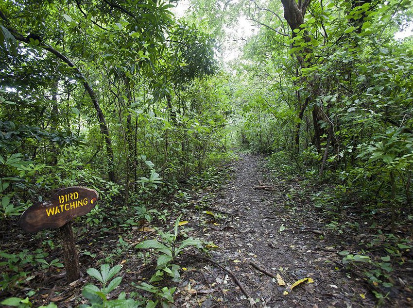 Hotel Hacienda La Pacifica  | Cañas | Guanacaste | Costa Rica 6